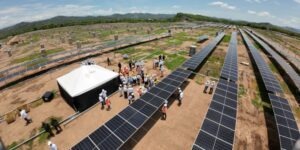 Vista panorámica de los 511.000 módulos fotovoltaicos del parque solar Puerta de Oro.